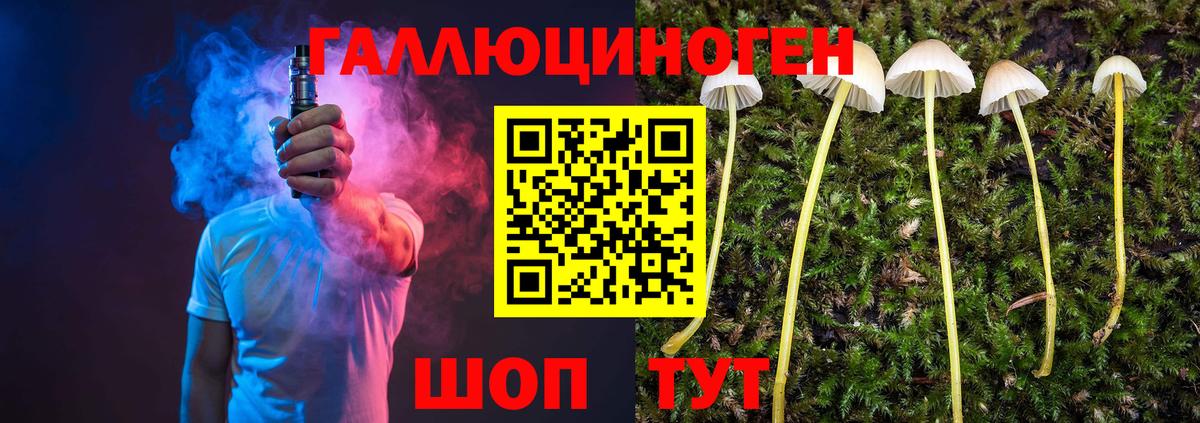 Первоуральск  Галлюциногенные грибы MAGIC MUSHROOMS  купить   Вход с VPN 
